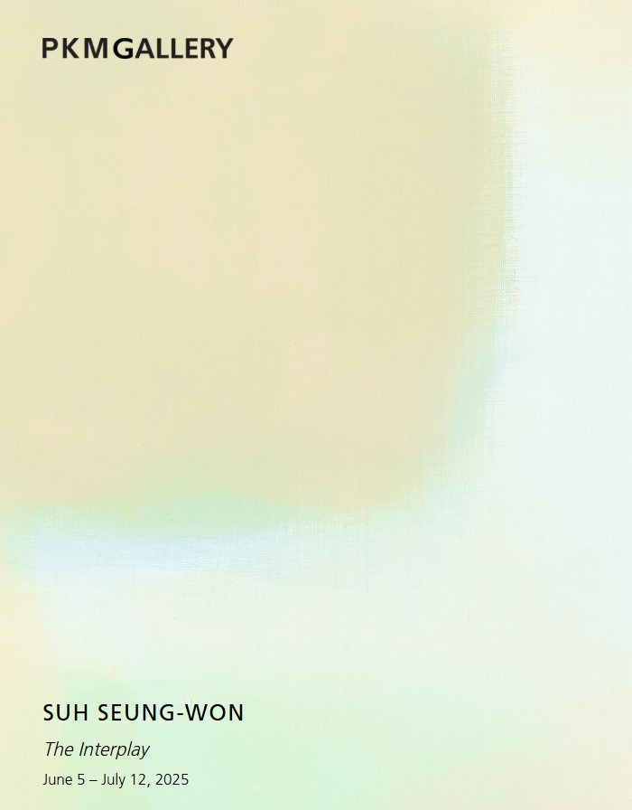 서승원 «The Interplay»