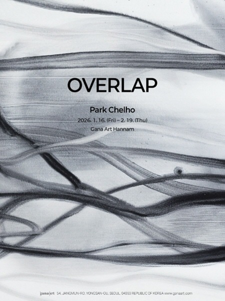박철호 展  Overlap