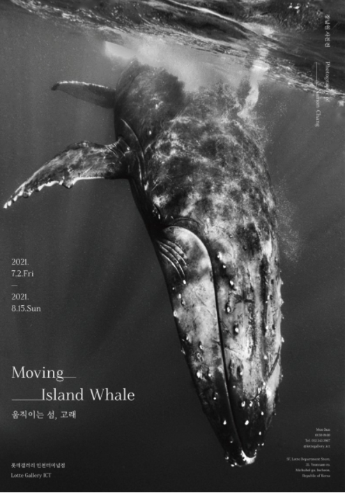 Exhibition Poster