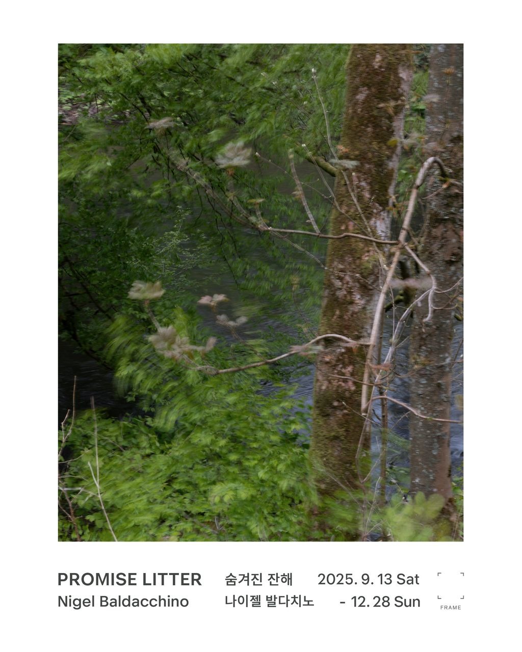 나이젤 발다치노 개인전 - PROMISE LITTER 숨겨진 잔해