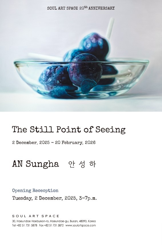The Still Point of Seeing 안성하 개인전