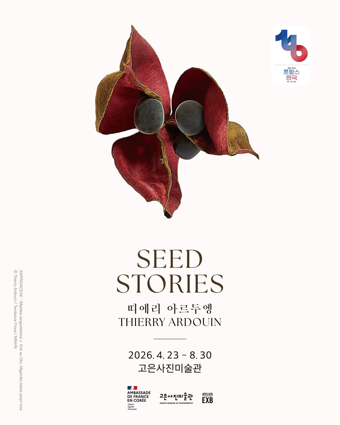 띠에리 아르두엥<Seed Stories>