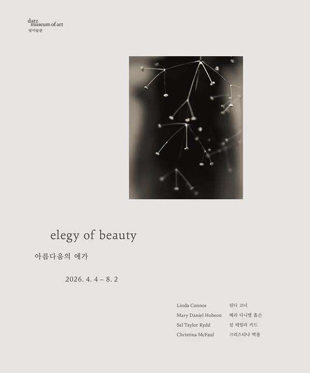 아름다움의 애가 elegy of beauty