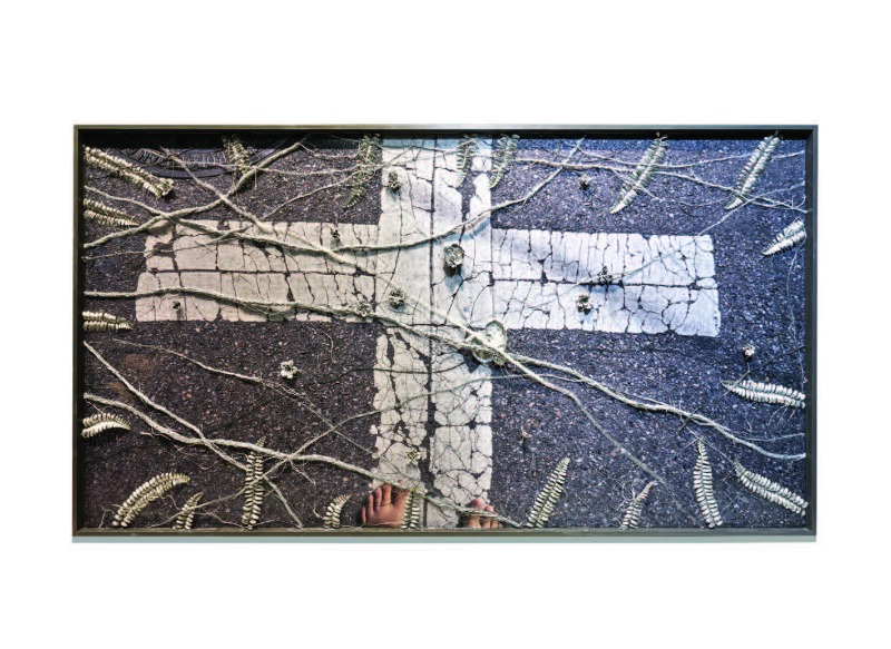 Plastic Landscape_Silver Flower
