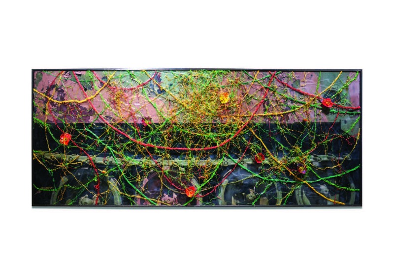 Plastic Landscape_DMZ