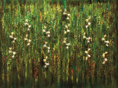 춤추는 버드나무 Dancing willows